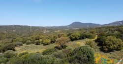 Farmhouse For Sale Olbia ref Micaloni