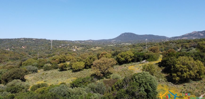 Farmhouse For Sale Olbia ref Micaloni