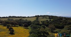 Farmhouse For Sale Olbia ref Micaloni