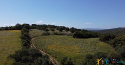 Farmhouse For Sale Olbia ref Micaloni