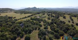 Farmhouse For Sale Olbia ref Micaloni