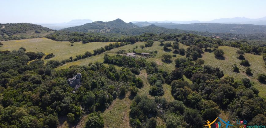 Farmhouse For Sale Olbia ref Micaloni