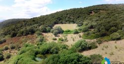 Farmhouses For Sale In Sardinia ref San Biagio