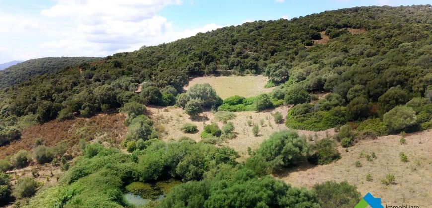 Farmhouses For Sale In Sardinia ref San Biagio