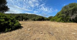 Farmhouses For Sale In Sardinia ref San Biagio