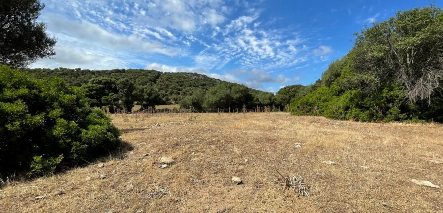 Farmhouses For Sale In Sardinia ref San Biagio