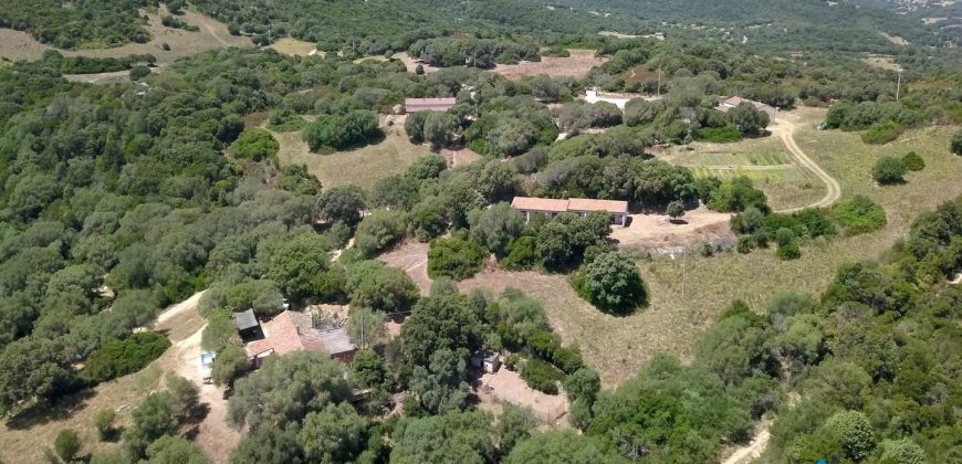 Farmhouses For Sale In Sardinia ref San Biagio