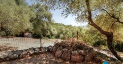 Farmhouses For Sale In Sardinia ref San Biagio