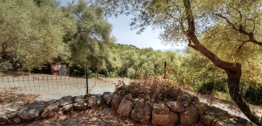 Farmhouses For Sale In Sardinia ref San Biagio