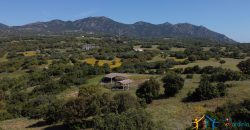 Farmhouse For Sale Olbia ref Micaloni