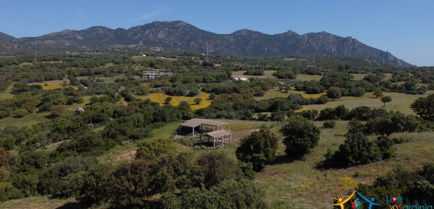 Farmhouse For Sale Olbia ref Micaloni