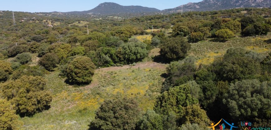 Farmhouse For Sale Olbia ref Micaloni