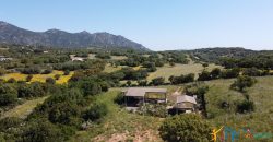 Farmhouse For Sale Olbia ref Micaloni