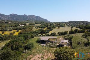 Farmhouse For Sale Olbia ref Micaloni