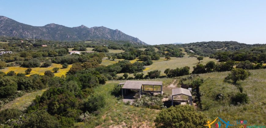 Farmhouse For Sale Olbia ref Micaloni