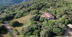 Farmhouses For Sale In Sardinia ref San Biagio