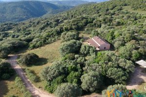 Farmhouses For Sale In Sardinia ref San Biagio