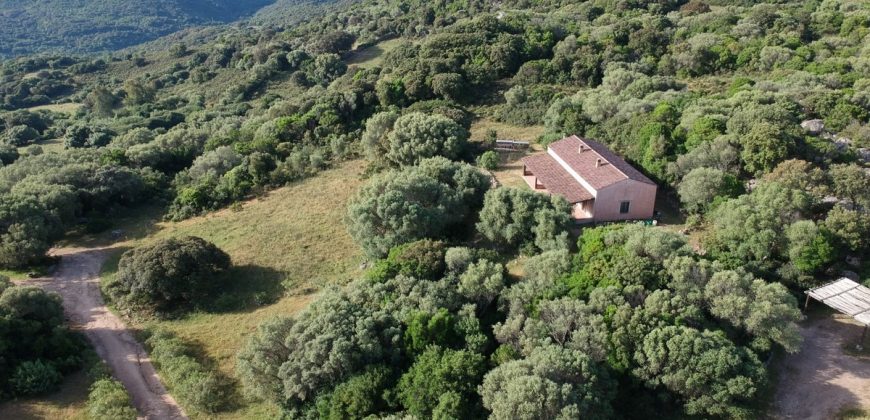 Farmhouses For Sale In Sardinia ref San Biagio