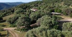 Farmhouses For Sale In Sardinia ref San Biagio