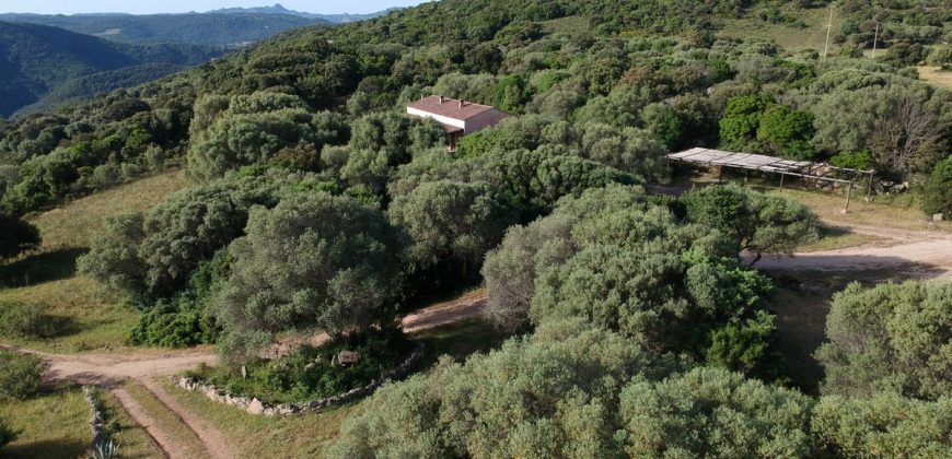 Farmhouses For Sale In Sardinia ref San Biagio