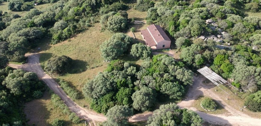 Farmhouses For Sale In Sardinia ref San Biagio