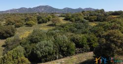 Farmhouse For Sale Olbia ref Micaloni