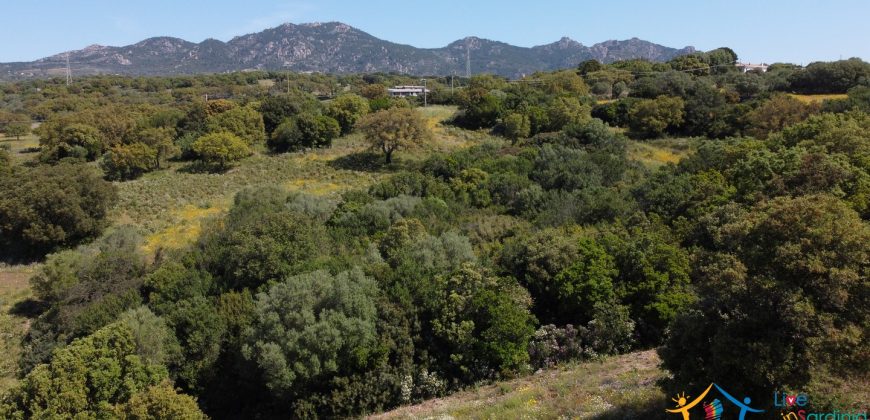 Farmhouse For Sale Olbia ref Micaloni