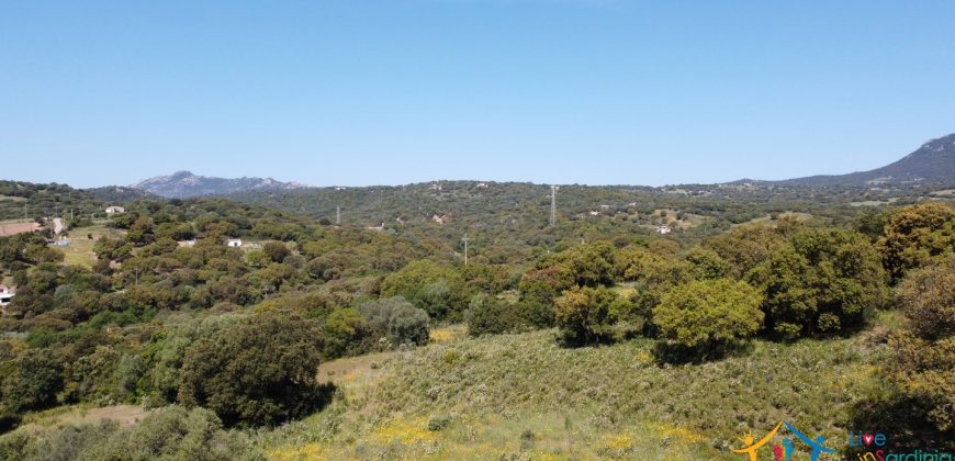 Farmhouse For Sale Olbia ref Micaloni