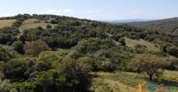 Country Homes For Sale Sardinia ref Micaloni