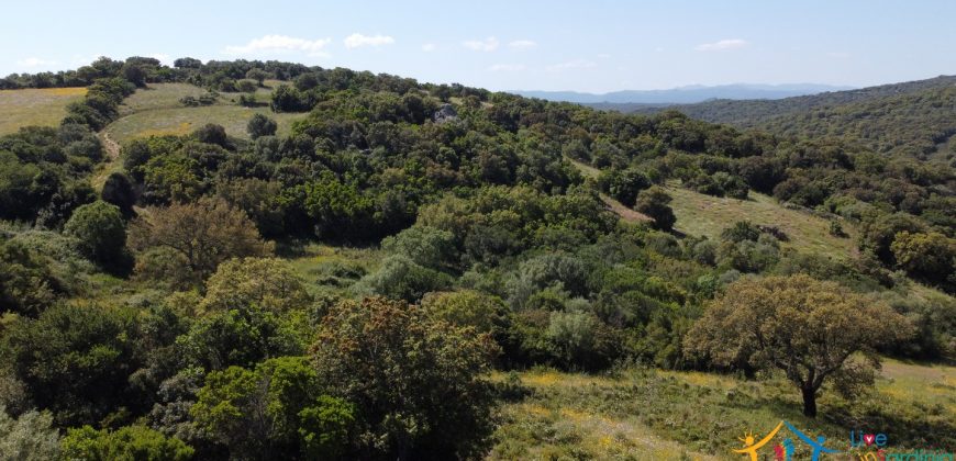 Country Homes For Sale Sardinia ref Micaloni