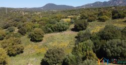 Country Homes For Sale Sardinia ref Micaloni