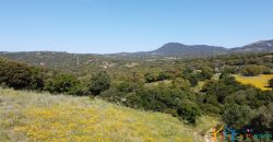 Country Homes For Sale Sardinia ref Micaloni