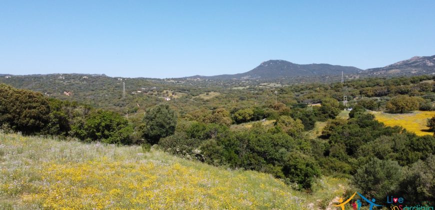 Country Homes For Sale Sardinia ref Micaloni