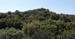 Country Homes For Sale Sardinia ref Micaloni