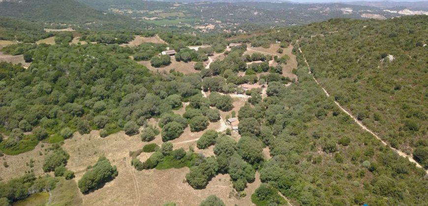 Farmhouses For Sale In Sardinia ref San Biagio