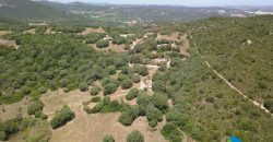 Farmhouses For Sale In Sardinia ref San Biagio