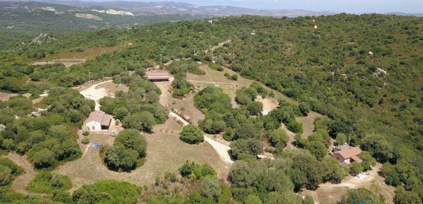 Farmhouses For Sale In Sardinia ref San Biagio