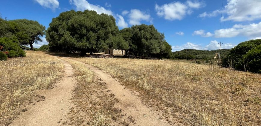 Farmhouses For Sale In Sardinia ref San Biagio