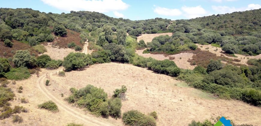 Farmhouses For Sale In Sardinia ref San Biagio