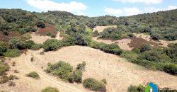 Farmhouses For Sale In Sardinia ref San Biagio