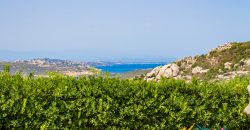 Sea View Villas For Sale Sardinia Ref.Lignamu