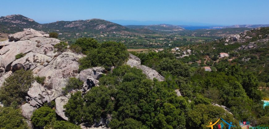 Sea View Villas For Sale Sardinia Ref.Lignamu