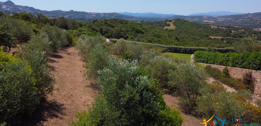 Sea View Villas For Sale Sardinia Ref.Lignamu