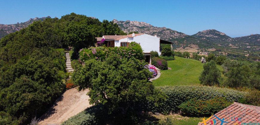 Sea View Villas For Sale Sardinia Ref.Lignamu