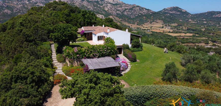 Sea View Villas For Sale Sardinia Ref.Lignamu