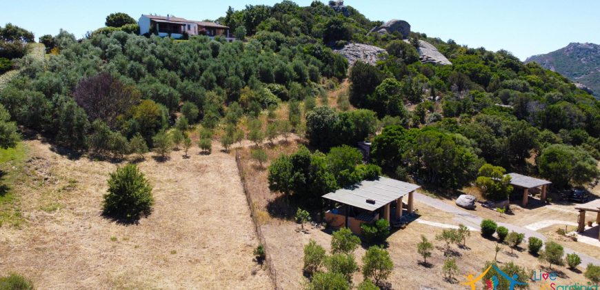 Sea View Villas For Sale Sardinia Ref.Lignamu