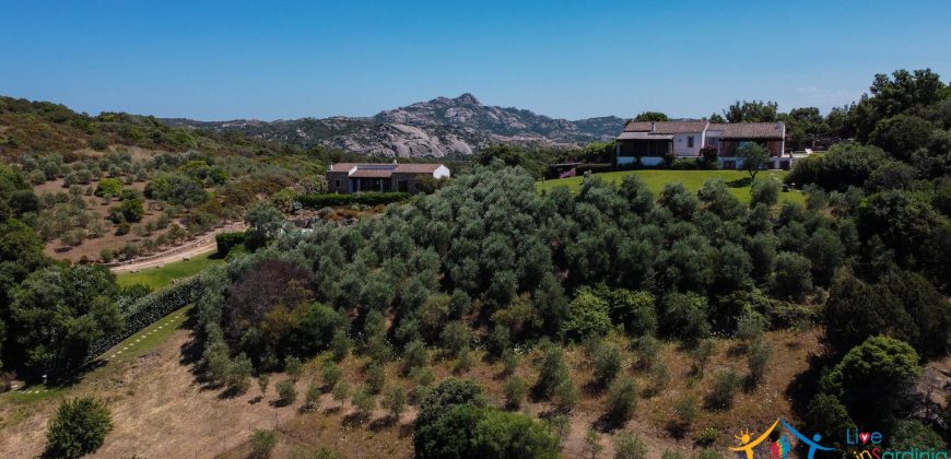 Sea View Villas For Sale Sardinia Ref.Lignamu