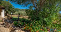 Country Home For Sale Loiri Porto San Paolo Sardinia Ref Granatoggju