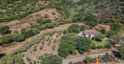 Country Home For Sale Loiri Porto San Paolo Sardinia Ref Granatoggju