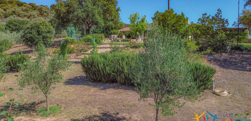 Country Home For Sale Loiri Porto San Paolo Sardinia Ref Granatoggju